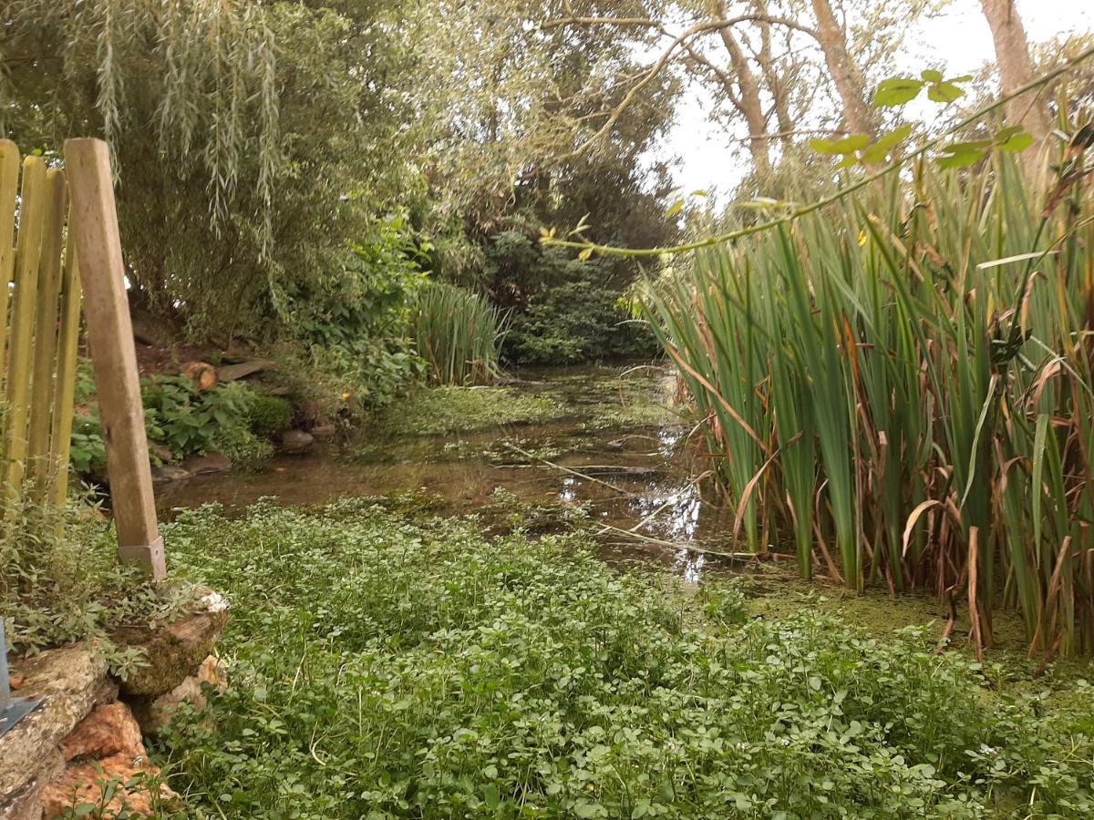 La Maison Des Lavandieres Le Conquet Bagian luar foto